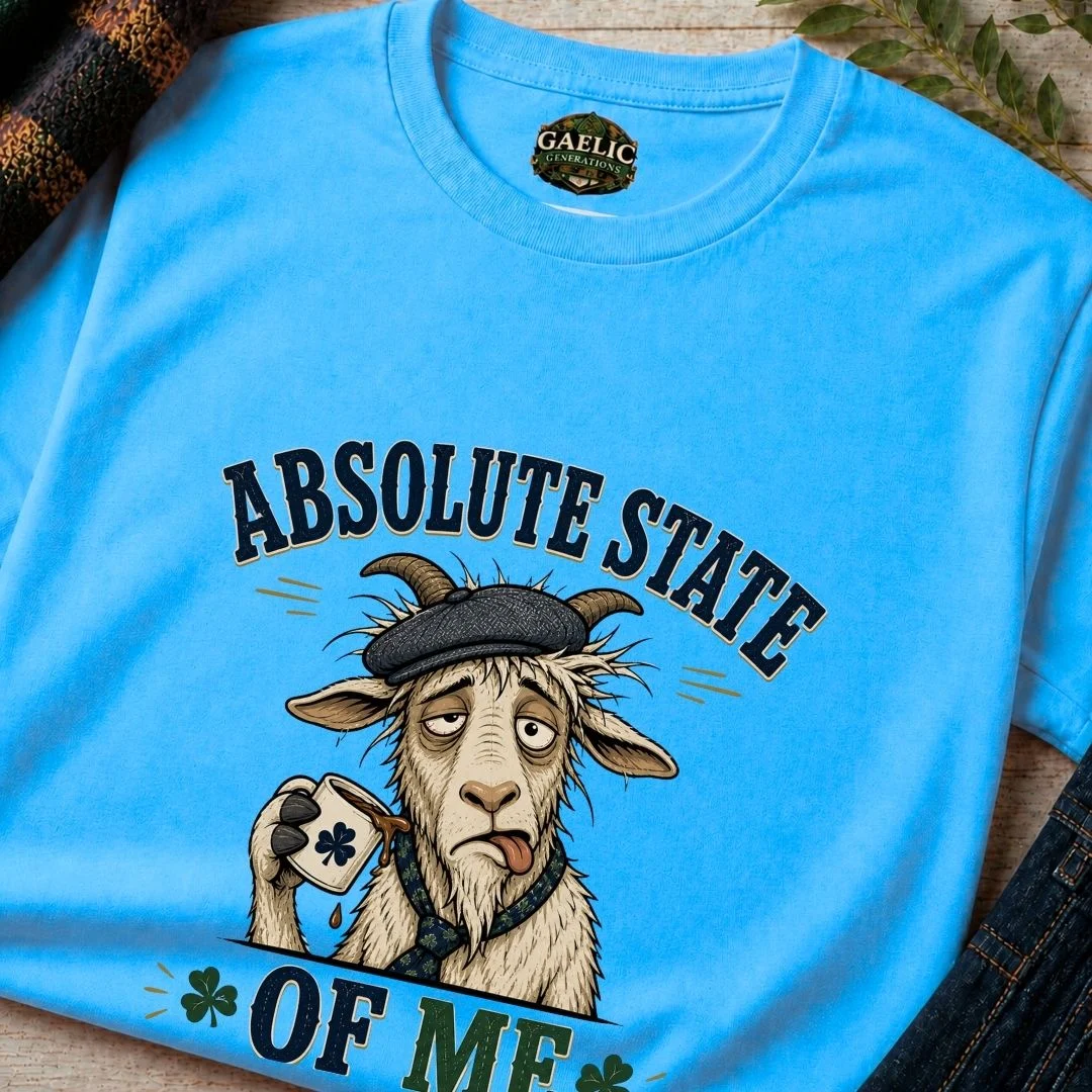 Absolute State Of Me Irish Humour T-Shirt - Image 6