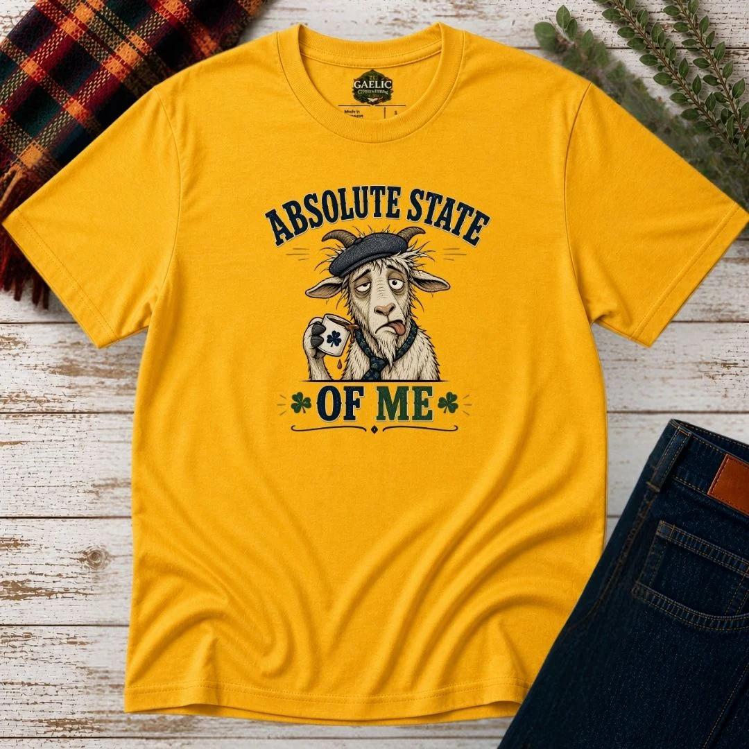 Absolute State Of Me Irish Humour T-Shirt - Image 2