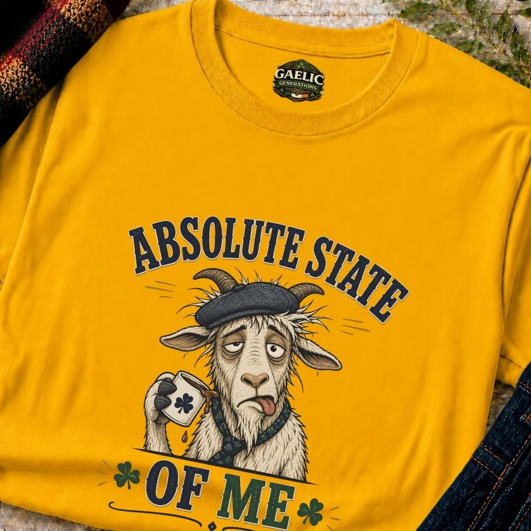 Absolute State Of Me Irish Humour T-Shirt - Image 3